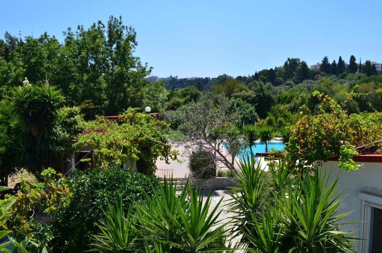 Koskinou  Artemis Studios - Pool And Garden מראה חיצוני תמונה