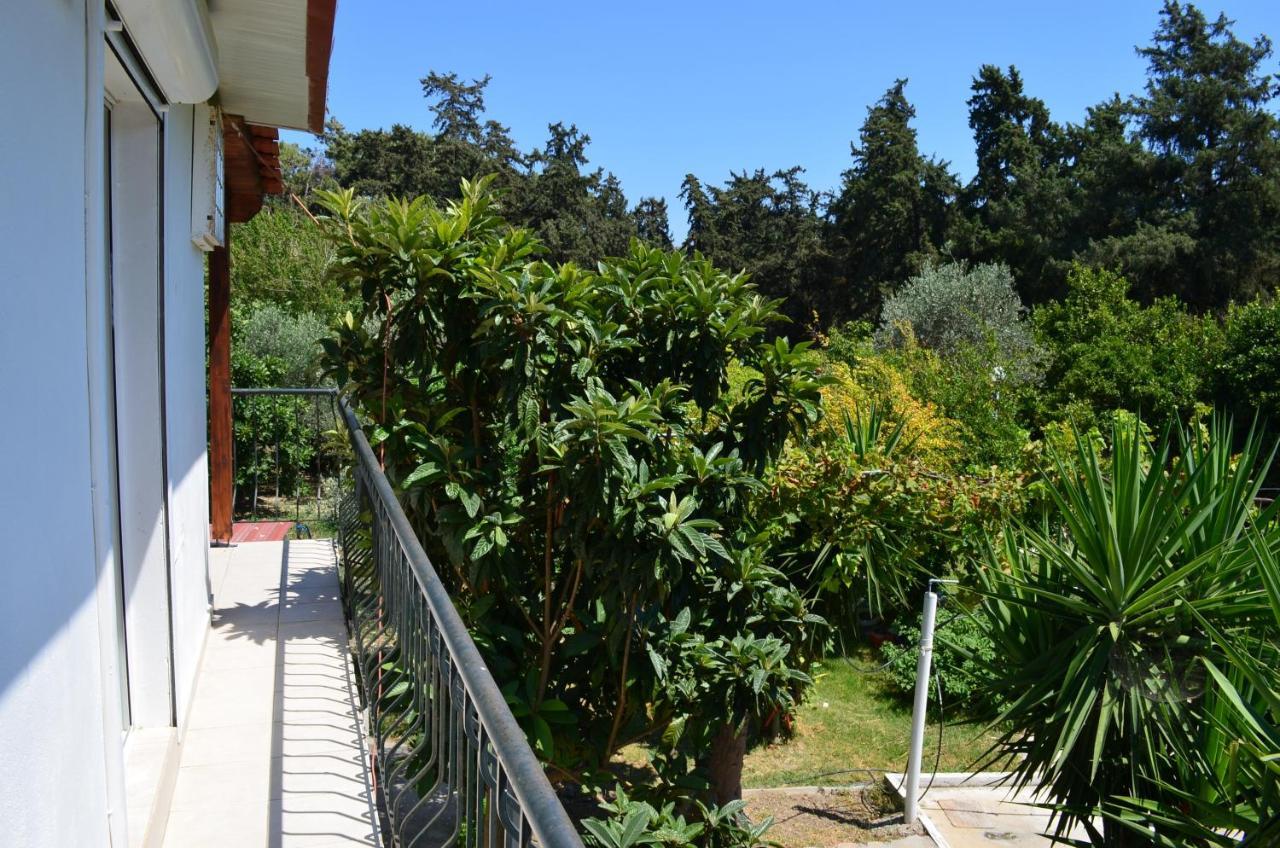 Koskinou  Artemis Studios - Pool And Garden מראה חיצוני תמונה